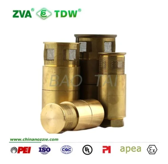 Brass Spring Check Valve with Filter Brass Foot Valve 1′ ′ /1-1/2′ ′