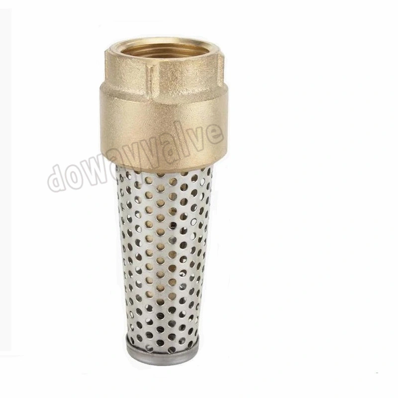 OEM/ODM Factory Forged Brass Non Return Spring Check Valve Inline Plasted in Polymer