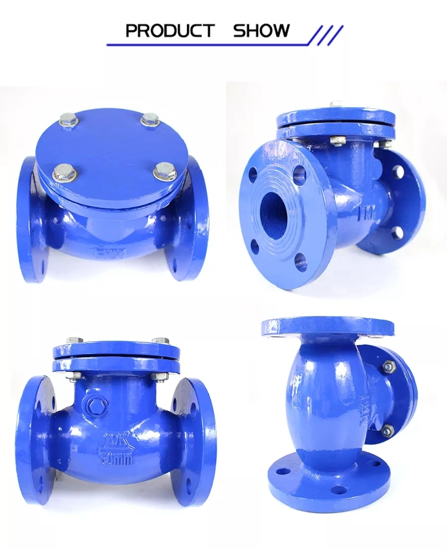 High Quality Water Pressure Reducing Non Return Vertical Brass Spring Swing Check Valve