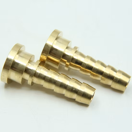 Raccord de tuyau de graden en laiton fileté mâle femelle Raccord de tuyau d'air en laiton Raccord de tuyau Barb
